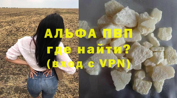 амф Козельск