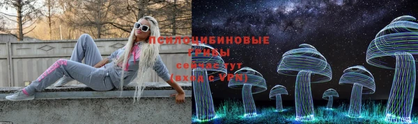прущие крисы Козловка